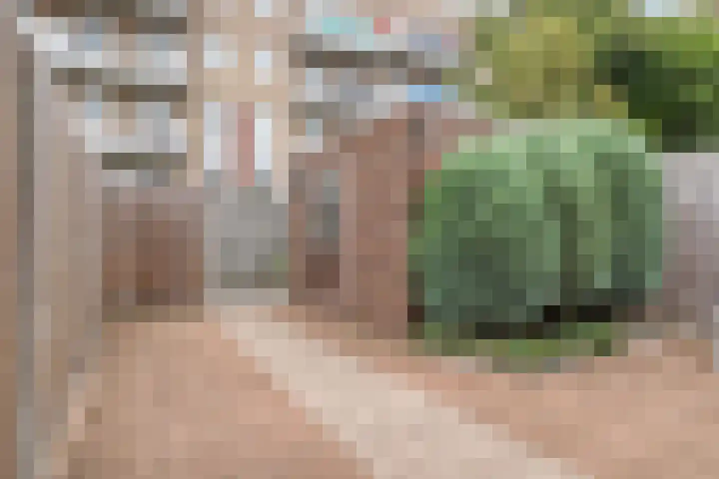 Gaesbeekstraat 77 Rotterdam thumbnail 14