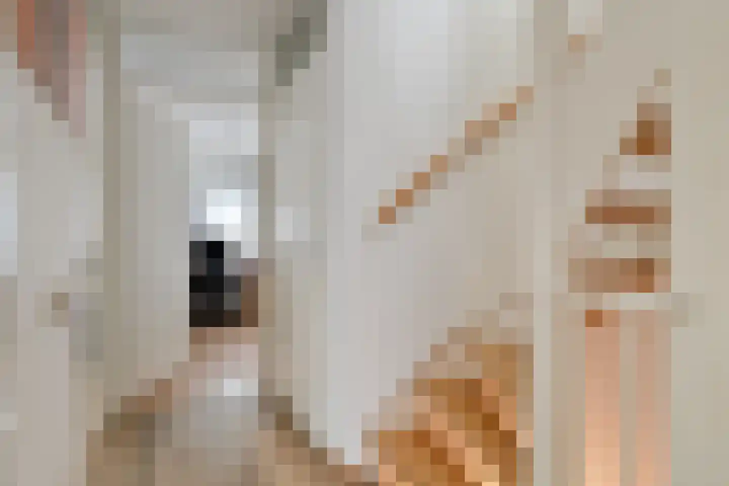 Gaesbeekstraat 77 Rotterdam thumbnail 17