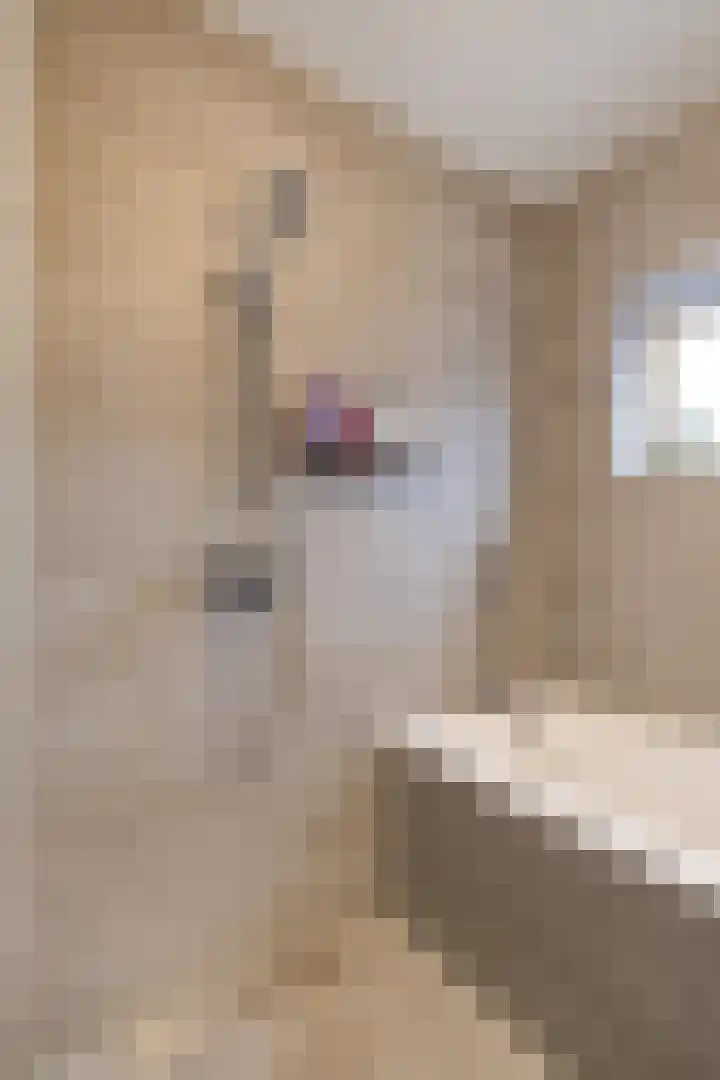 Gaesbeekstraat 77 Rotterdam thumbnail 21