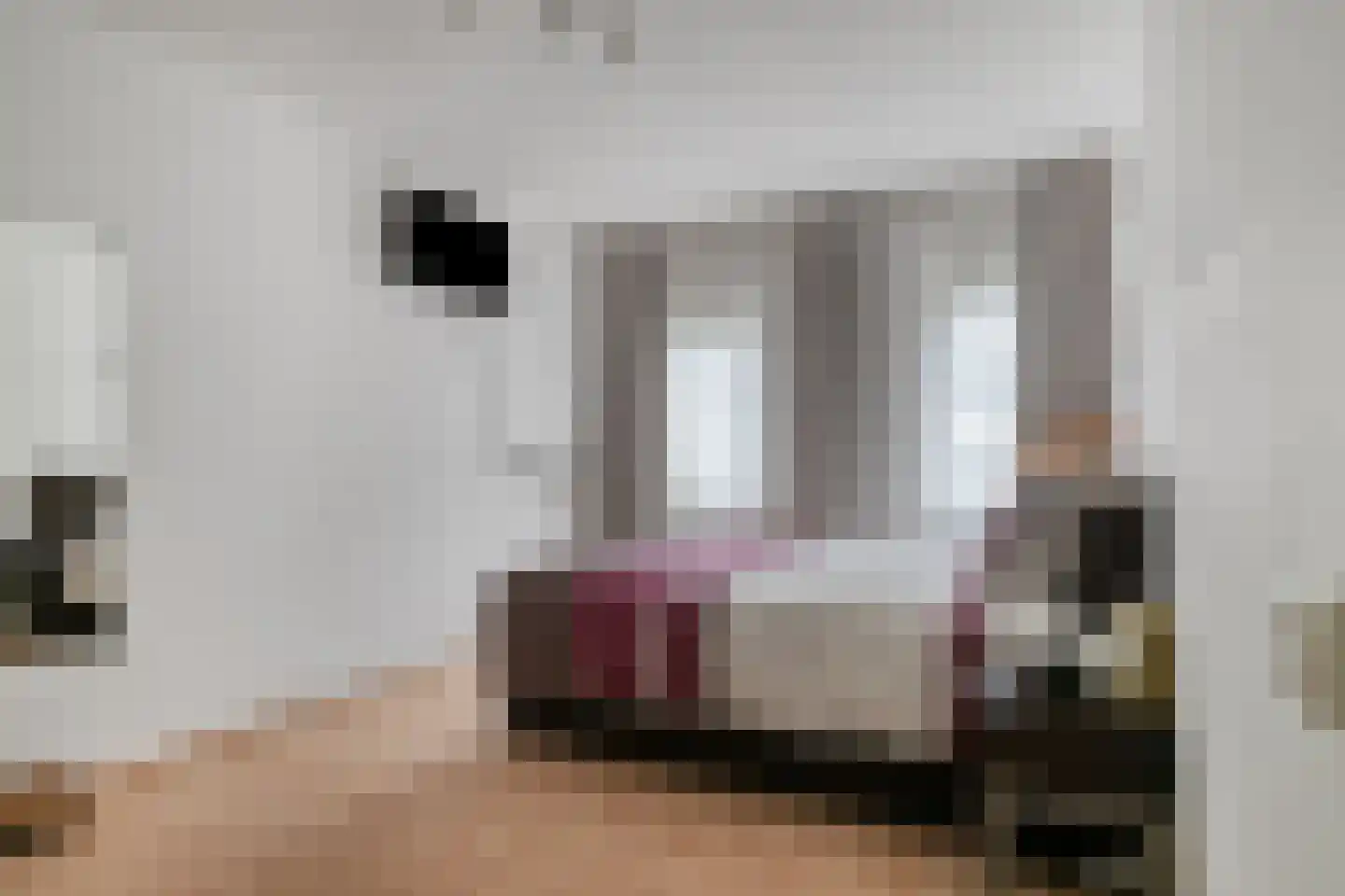 Gaesbeekstraat 77 Rotterdam thumbnail 23
