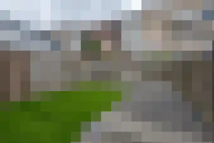 Gaesbeekstraat 83 Rotterdam thumbnail 24
