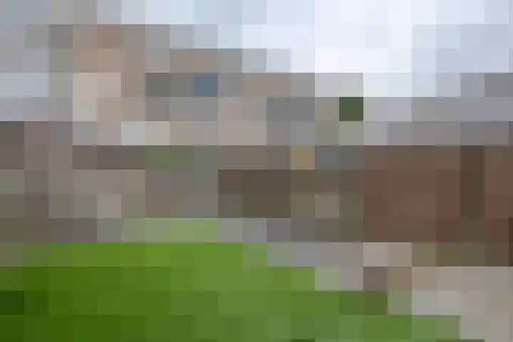 Gaesbeekstraat 83 Rotterdam thumbnail 25