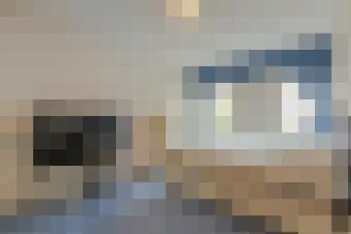 Gaesbeekstraat 83 Rotterdam thumbnail 4