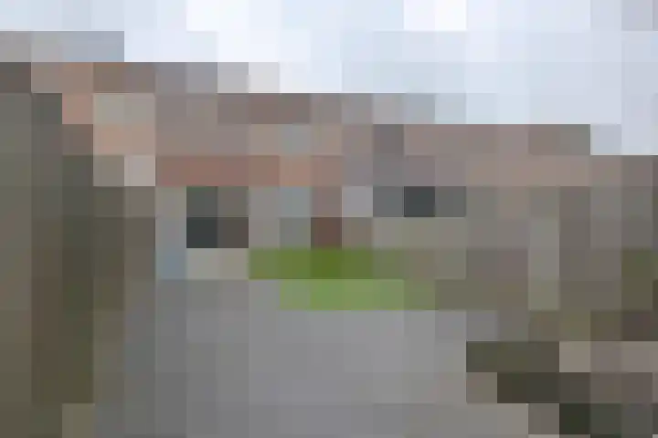 Gaesbeekstraat 83 Rotterdam thumbnail 5