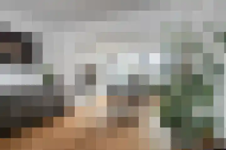 Gaesdoncksestraat 13 Siebengewald thumbnail 11