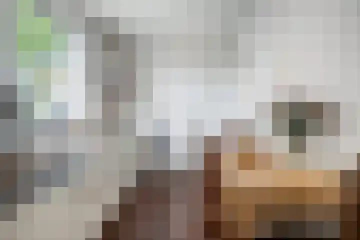 Gaesdoncksestraat 13 Siebengewald thumbnail 15