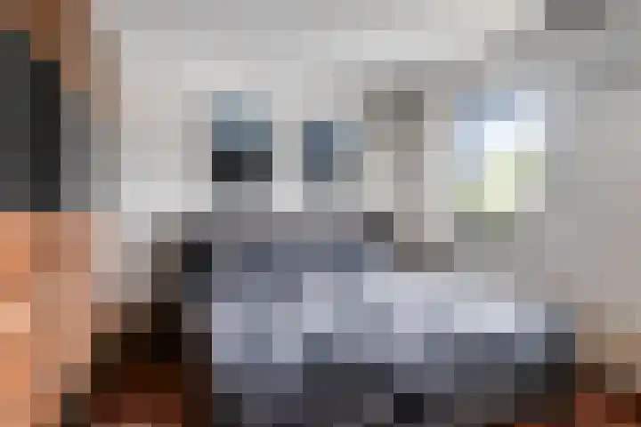 Gaesdoncksestraat 13 Siebengewald thumbnail 20