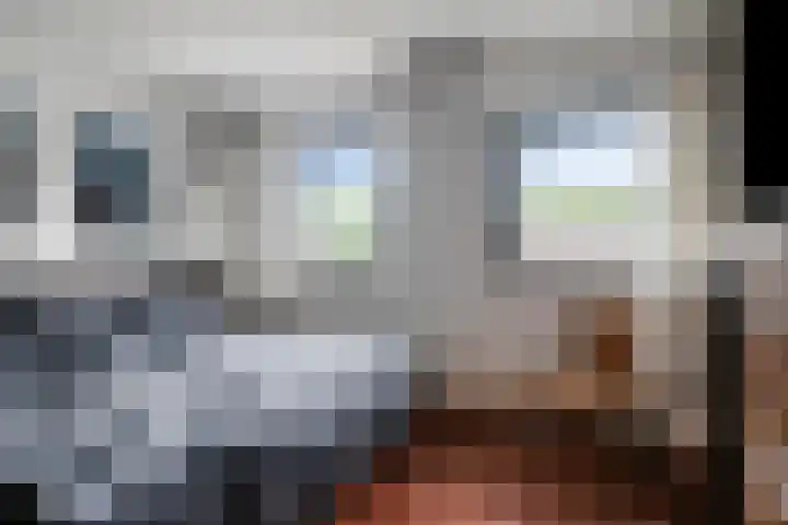 Gaesdoncksestraat 13 Siebengewald thumbnail 21