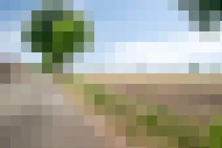 Gaesdoncksestraat 13 Siebengewald thumbnail 36