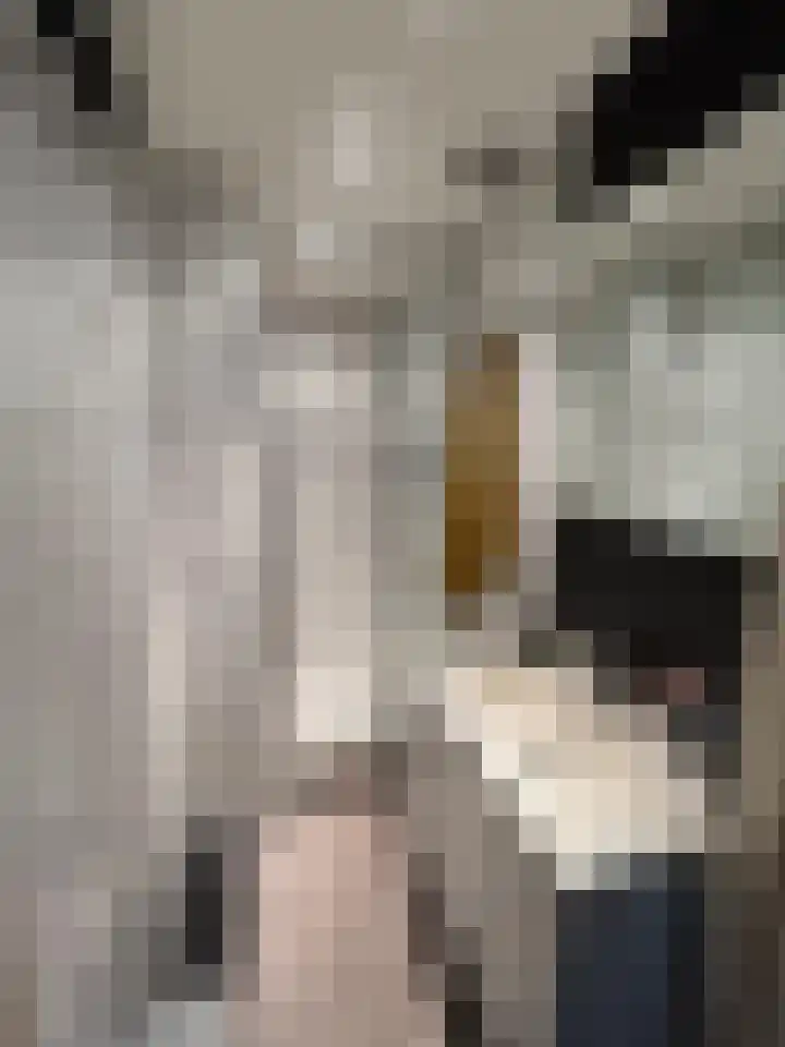 Gaesdoncksestraat 27 a Siebengewald thumbnail 7