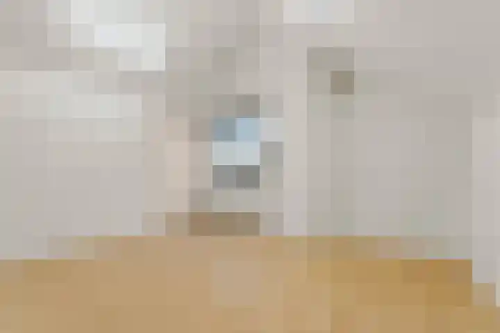 Gaesdoncksestraat 33 Siebengewald thumbnail 12
