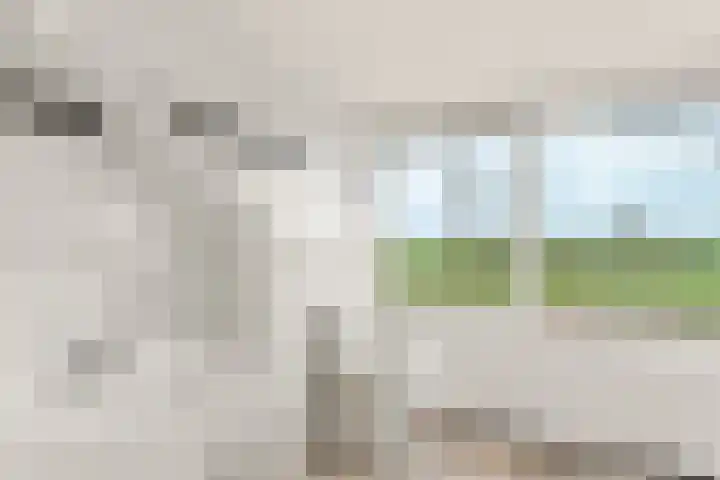Gaesdoncksestraat 33 Siebengewald thumbnail 15