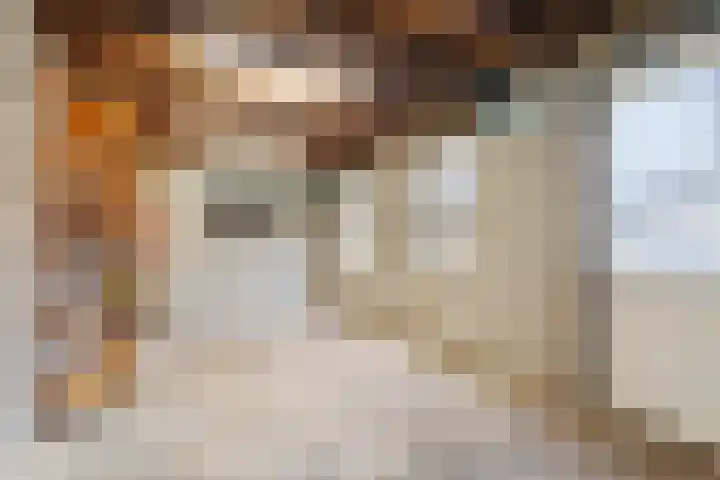 Gaesdoncksestraat 33 Siebengewald thumbnail 19