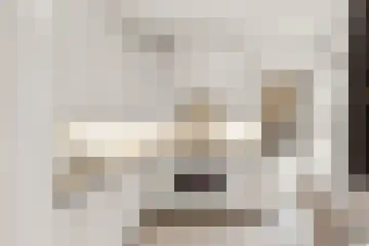 Gaesdoncksestraat 33 Siebengewald thumbnail 6