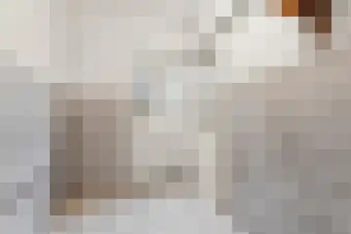 Gaesdoncksestraat 33 Siebengewald thumbnail 8