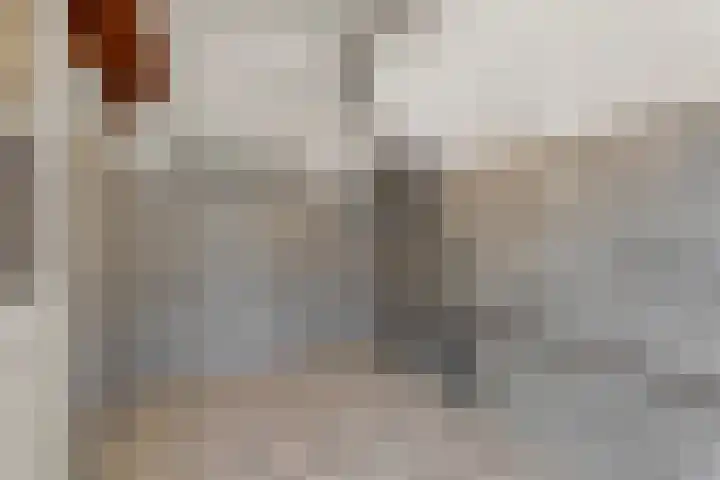 Gaesdoncksestraat 33 Siebengewald thumbnail 9