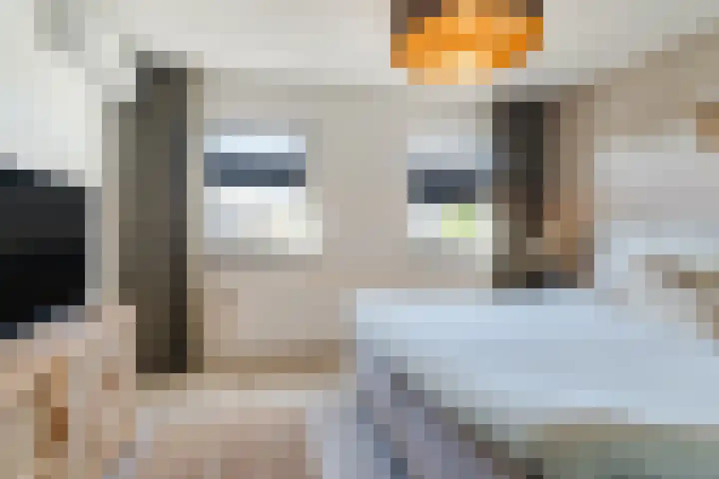 Gaesdoncksestraat 43 Siebengewald thumbnail 17