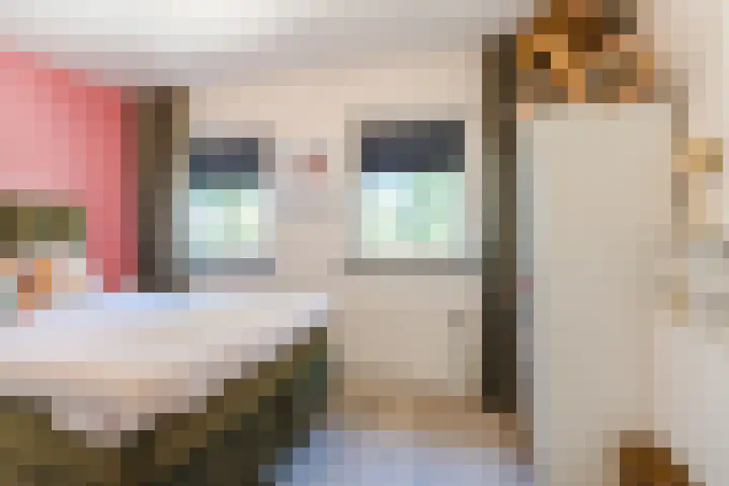 Gaesdoncksestraat 43 Siebengewald thumbnail 19