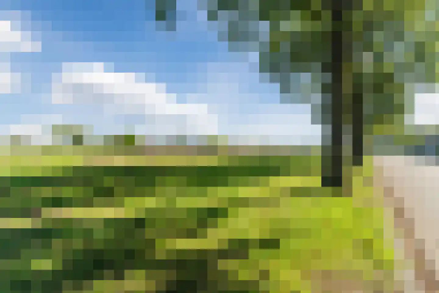 Gaesdoncksestraat 43 Siebengewald thumbnail 34