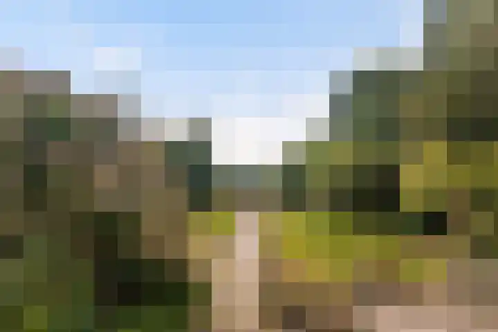 Gaestwei 2 Bakhuizen thumbnail 10