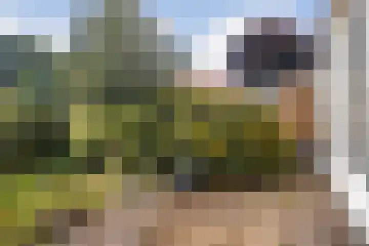 Gaestwei 2 Bakhuizen thumbnail 11