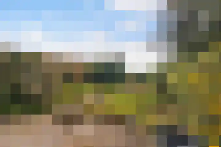 Gaestwei 2 Bakhuizen thumbnail 12