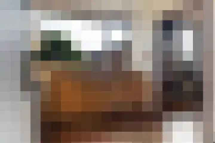 Gaestwei 2 Bakhuizen thumbnail 18