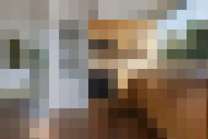 Gaestwei 2 Bakhuizen thumbnail 19