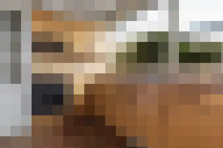 Gaestwei 2 Bakhuizen thumbnail 20