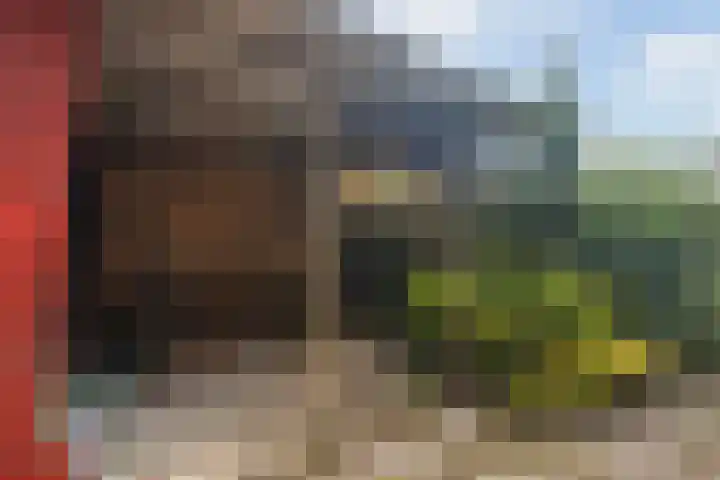 Gaestwei 2 Bakhuizen thumbnail 24