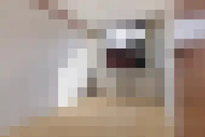 Gaestwei 2 Bakhuizen thumbnail 25