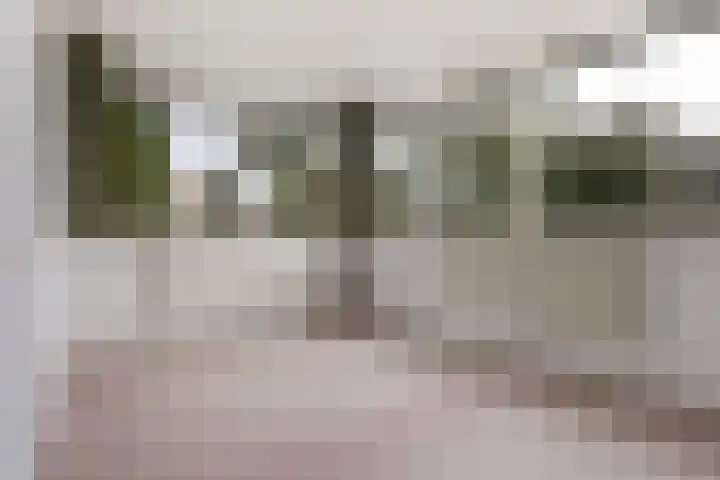 Gaestwei 2 Bakhuizen thumbnail 27