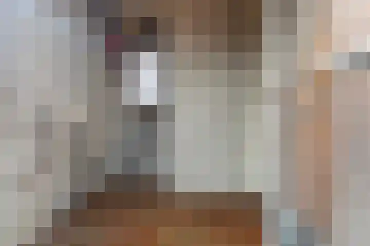 Gaestwei 2 Bakhuizen thumbnail 31