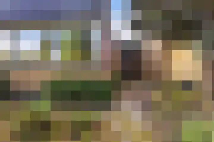 Gaestwei 2 Bakhuizen thumbnail 37