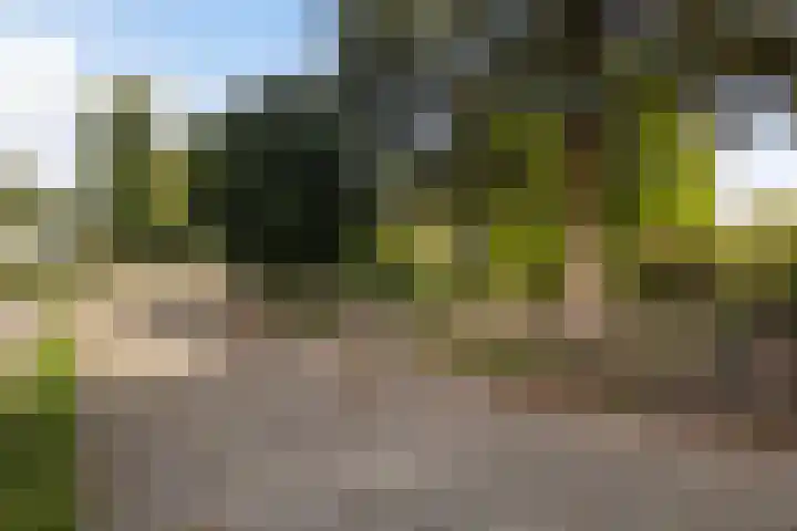 Gaestwei 2 Bakhuizen thumbnail 38