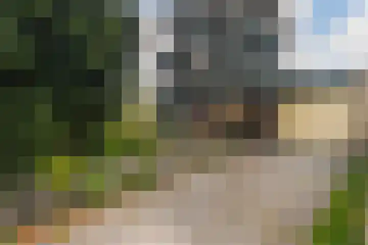 Gaestwei 2 Bakhuizen thumbnail 39