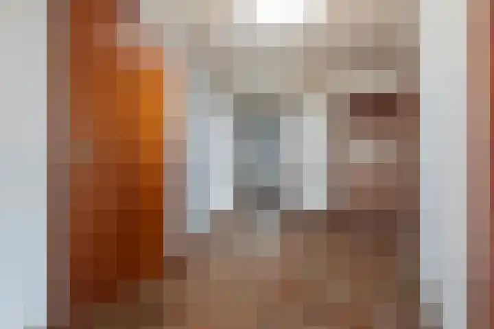 Gaestwei 2 Bakhuizen thumbnail 4