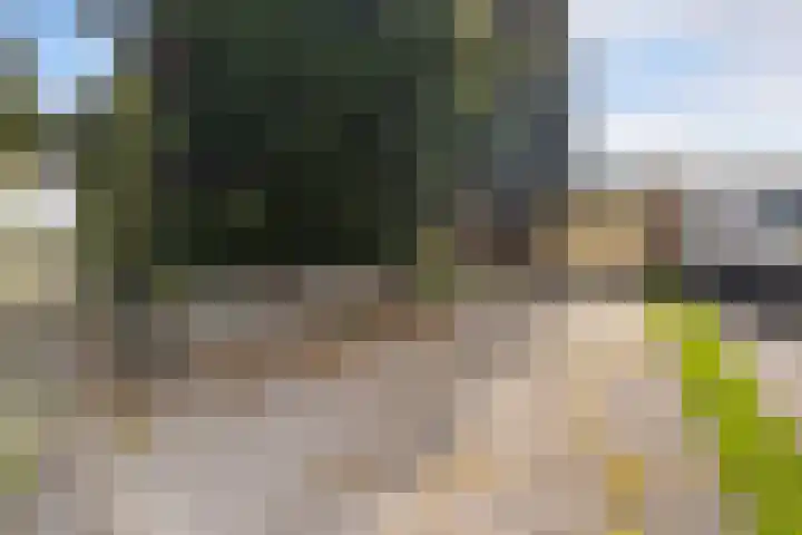 Gaestwei 2 Bakhuizen thumbnail 40