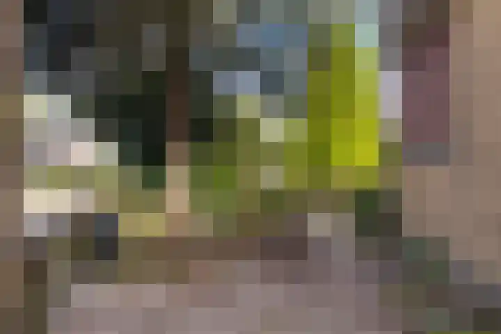 Gaestwei 2 Bakhuizen thumbnail 41