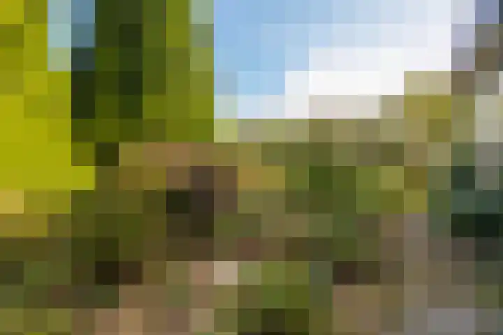 Gaestwei 2 Bakhuizen thumbnail 42