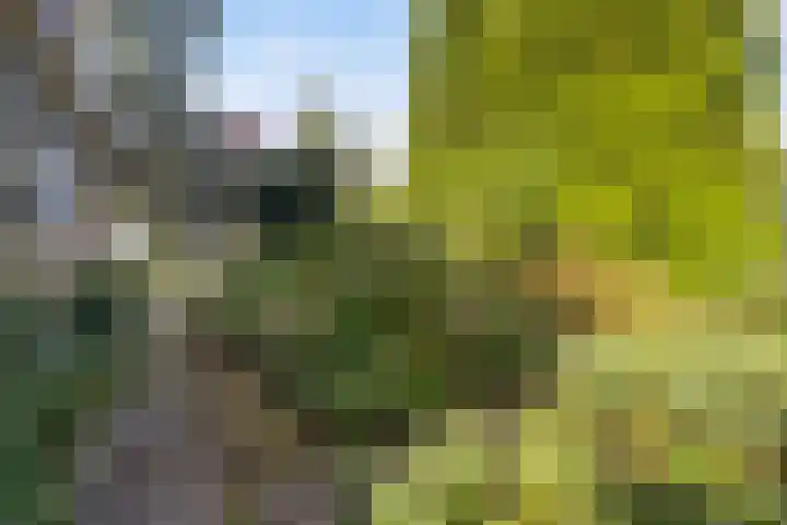 Gaestwei 2 Bakhuizen thumbnail 43