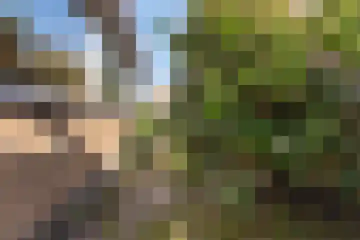 Gaestwei 2 Bakhuizen thumbnail 44