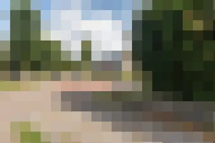 Gaestwei 2 Bakhuizen thumbnail 45