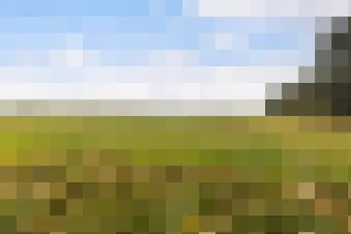 Gaestwei 2 Bakhuizen thumbnail 46