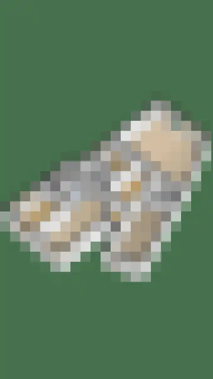 Gaestwei 2 Bakhuizen thumbnail 49