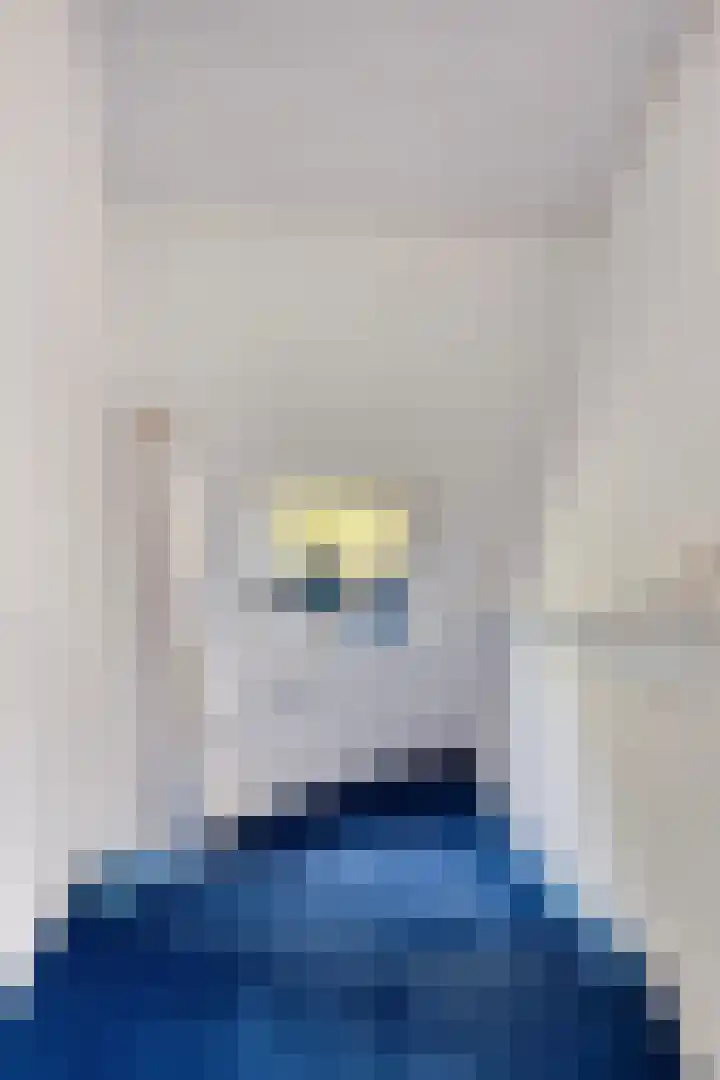 Gaete 16 Lage Zwaluwe thumbnail 14