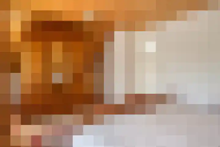 Gaete 16 Lage Zwaluwe thumbnail 17