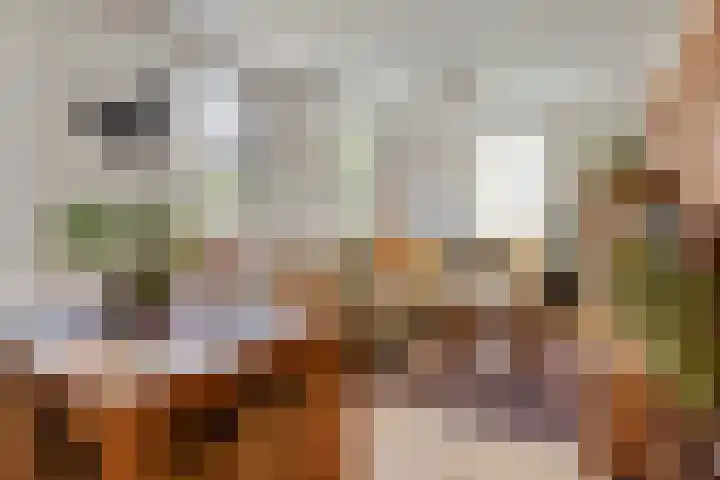 Gaete 16 Lage Zwaluwe thumbnail 21