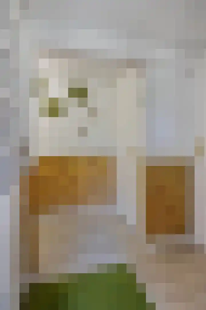 Gaete 16 Lage Zwaluwe thumbnail 25