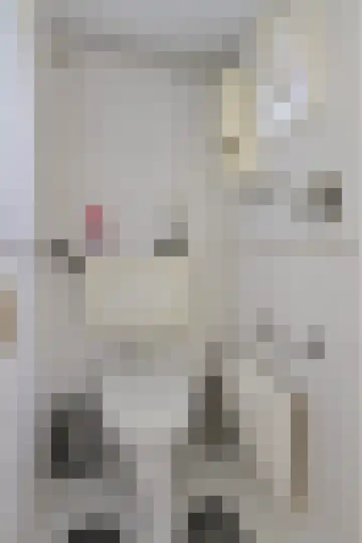 Gaete 16 Lage Zwaluwe thumbnail 26